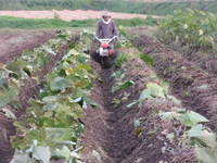 ���٤ϴ�������̤�ǡ���ˡ� 