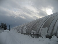 ���㤬���ݤǤ��� 