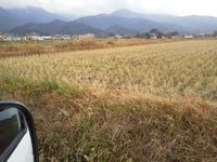 ������Ϥ�Ƥ��ޤ��ޤ����� 