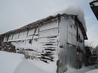 ���ޤ˿���⤢��ޤ��� 