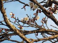 Ϸ�ڤ��ߤ��� 