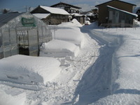 �ӥˡ���ϥ����Ǥ��Ż� 