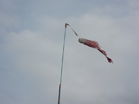 ��Τܤꤵ�󣵷�ޤ��ԤĤƤ��������� 