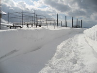 ����äȤ���ŷ�� 