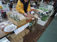 ��ľ�Υ��٥�ȤǤ��� 