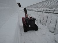 ���ĥϥ����ν��� 