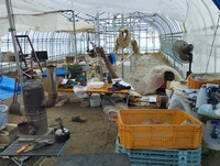 �դΰ��Ĥ˸����ƥӥˡ���ϥ���������դ��� 