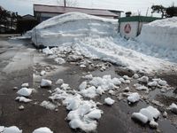 �㤬�ɤ�ɤ�ͻ���Ƥ����ޤ��� 