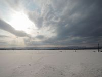 ���褿���� 