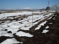 �������㤬ͻ���ޤ����� 