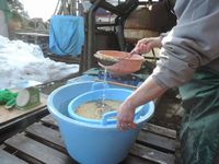 ����α������Ǥ��� 