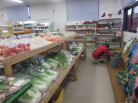 ���Ĥ����������� 