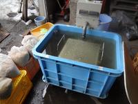 ����α������Ȳ������ 