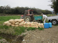 ������ʤ���ν�ϫƯ�Ǥ��� 