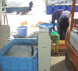 �����Ǳ����� 