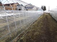 ���ĥϥ������佤 