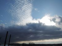 ���ζ������α� 