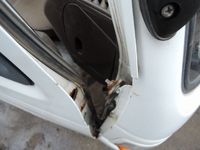 �ɥ������줿�ݡ� 