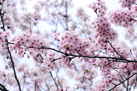 �����κ� 