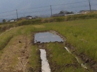 �����⤬2ɤ 