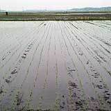 �Ŀ����򤷤��Ĥ�ܡ��ʤ��äƤ롩 