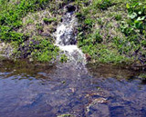 Ʃ���٤��������Ǥ� 