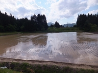 ��ǯ������Τ�٤�ǡ������������������Ĥ�ܤǤ����������� 