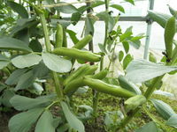 ����Ʀ�¤�ޤ����� 