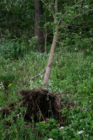 �������ڤ��� 