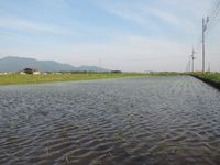 �Ŀ����򽪤����� 