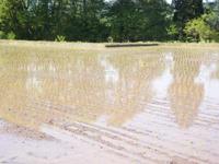 �Ŀ����� 