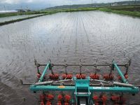 �Ĥ�ܤν����ȳ��� 