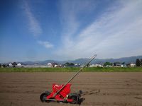 ���ƤΤ褦�Ǥ��� 