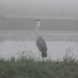 �Ĥ�ܤ�Ω�ĺ� 