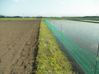 �Ϥ��ΥͥåȤ�ĥ�롣 