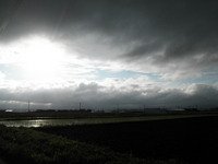 �����ڤ줿������������뤫�ʡ� 