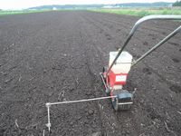 ����μ�ޤ� 