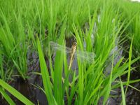 �ȥ�ܤα������ϤޤäƤ��ޤ��� 