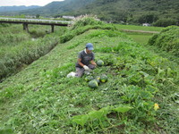 �𴢤򤹤�Ȥ��ܤ��㤬���ĽФƤ��ޤ����� 