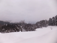 �Ĥ�ܤ��鸫�����ʤǤ��� 