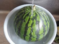 ��ǯ�饹���� 