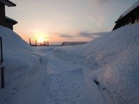 ������1���ͼ�Ƥ� 