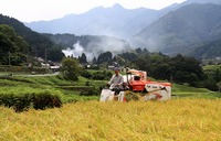 ⥹μ򼬤塢𴢤򤷤ޤ 