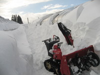 ����ȳ�Ʈ�桪 