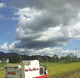 �𴢤����� 