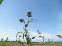 �����ɤ�륿�����Ӥ��� 