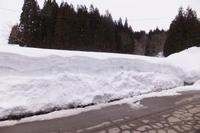 ����ߤä��Τǡ�����ɤ��㤯�ʤ�ޤ����� 