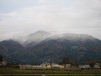 �Ȥ��Ȥ��ߤäƤ��ޤ����� 