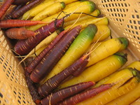 ��ǯ�Υ˥󥸥����·�� 