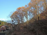 �ս��α��������� 